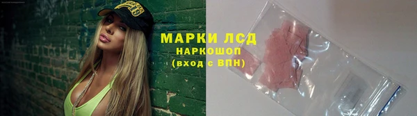 дмт Абаза