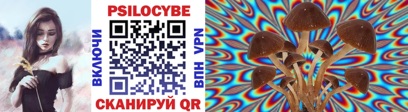 Галлюциногенные грибы мицелий Таштагол